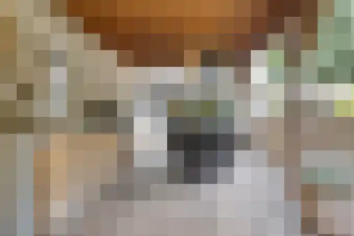Postbaan 25 Rucphen thumbnail 77