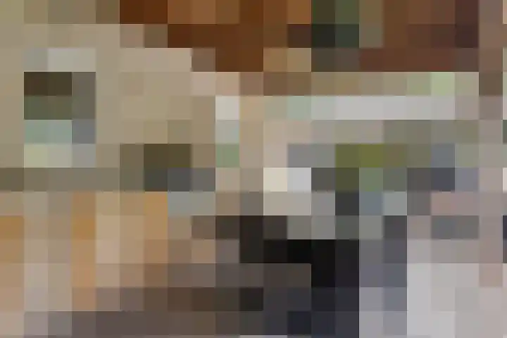 Postbaan 25 Rucphen thumbnail 78