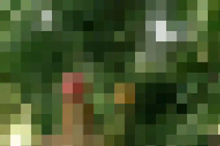 Postbaan 25 Rucphen thumbnail 90