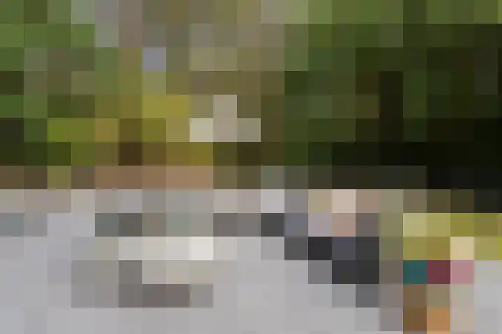 Postbaan 25 Rucphen thumbnail 91