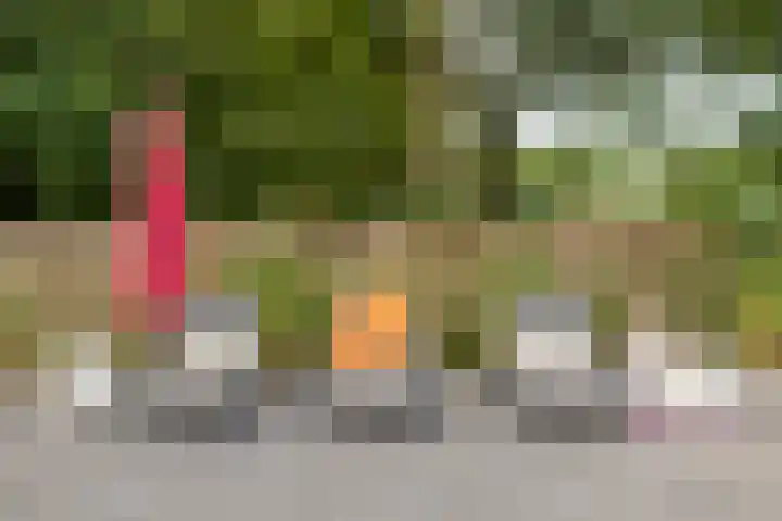Postbaan 25 Rucphen thumbnail 92