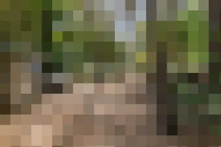 Postbaan 25 Rucphen thumbnail 96