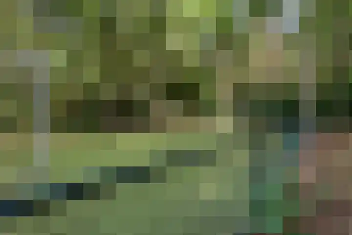 Postbaan 25 Rucphen thumbnail 97