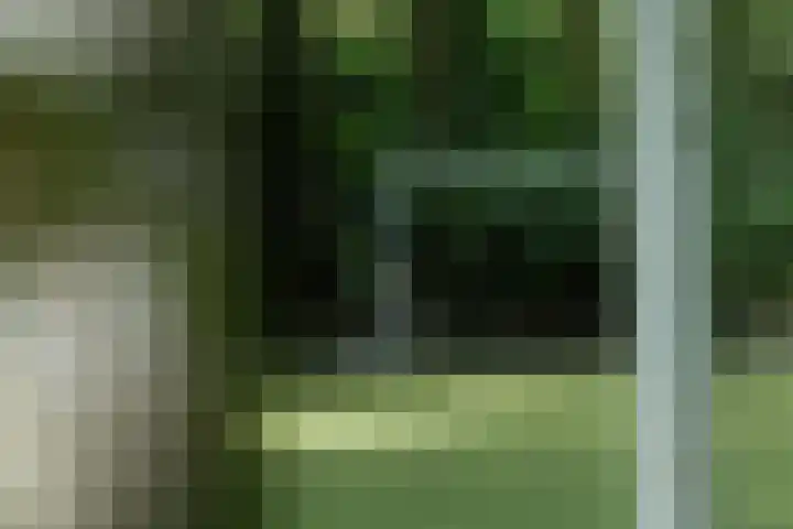 Postbaan 25 Rucphen thumbnail 99