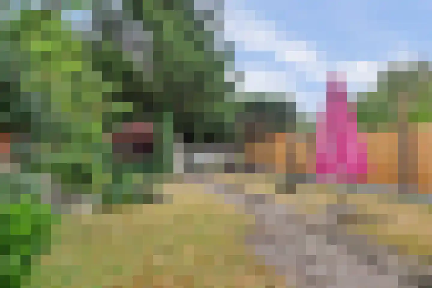 Postbaan 26 Putte thumbnail 25