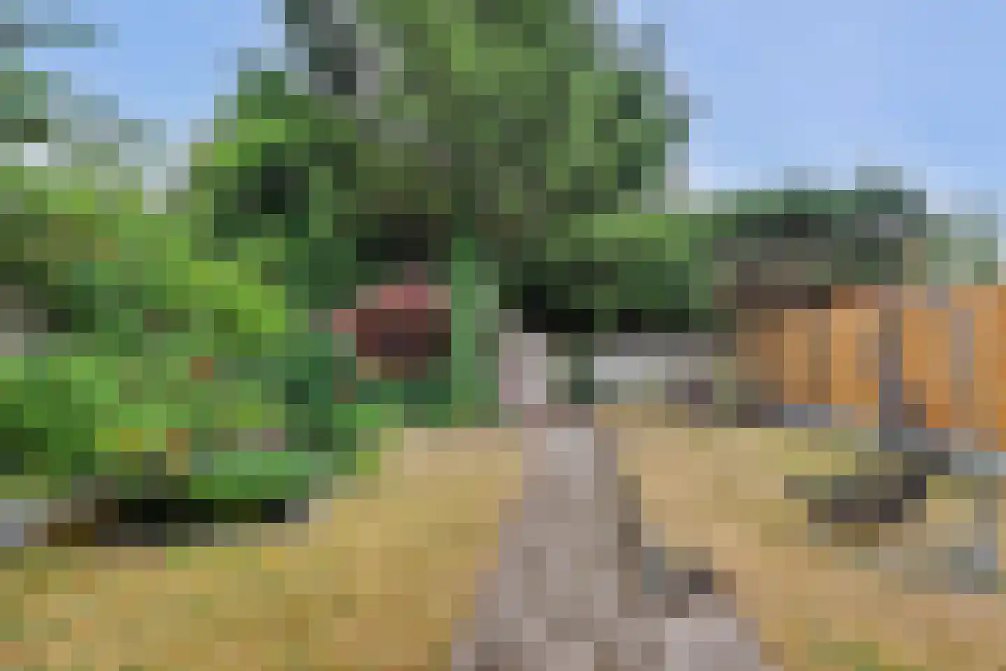 Postbaan 26 Putte thumbnail 26