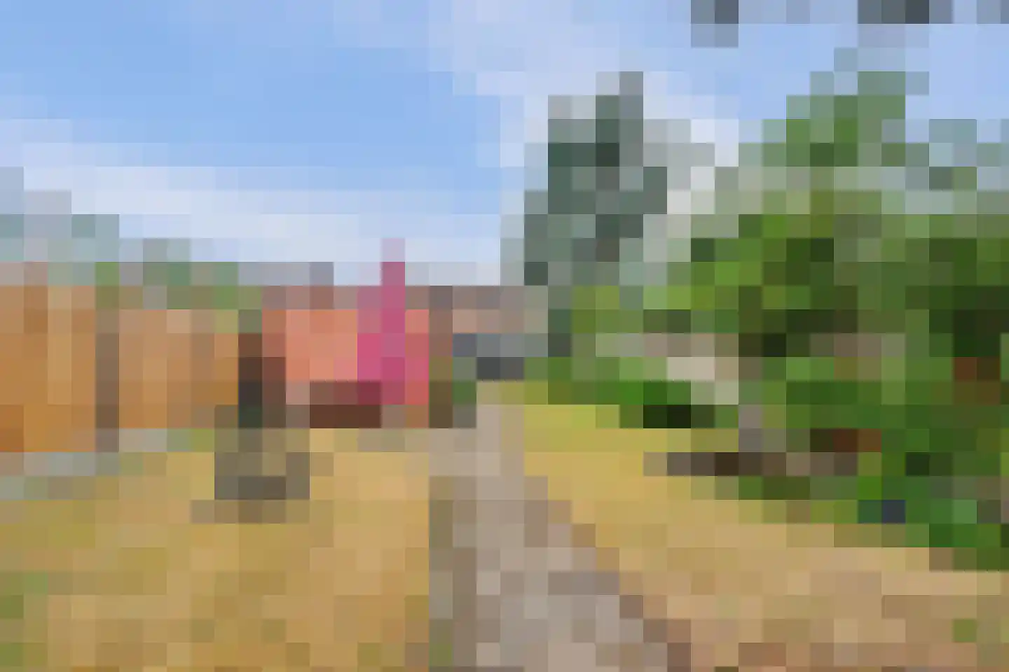 Postbaan 26 Putte thumbnail 27