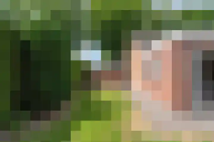 Postbaan 28 Prinsenbeek thumbnail 29