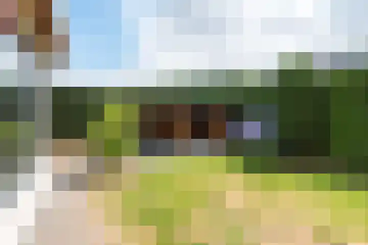 Postbaan 28 Prinsenbeek thumbnail 30
