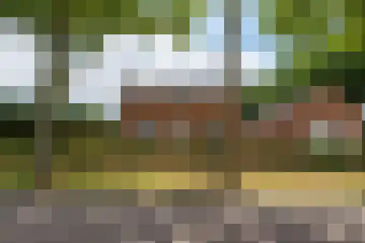 Postbaan 28 Prinsenbeek thumbnail 40