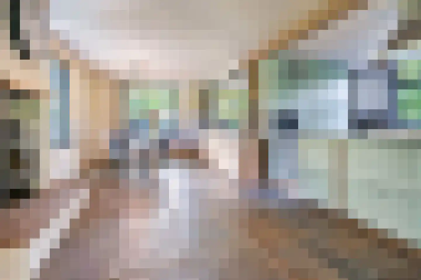 Postbaan 83 Putte thumbnail 10