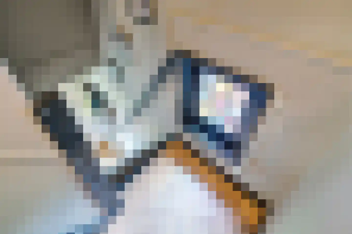 Postbaan 83 Putte thumbnail 20