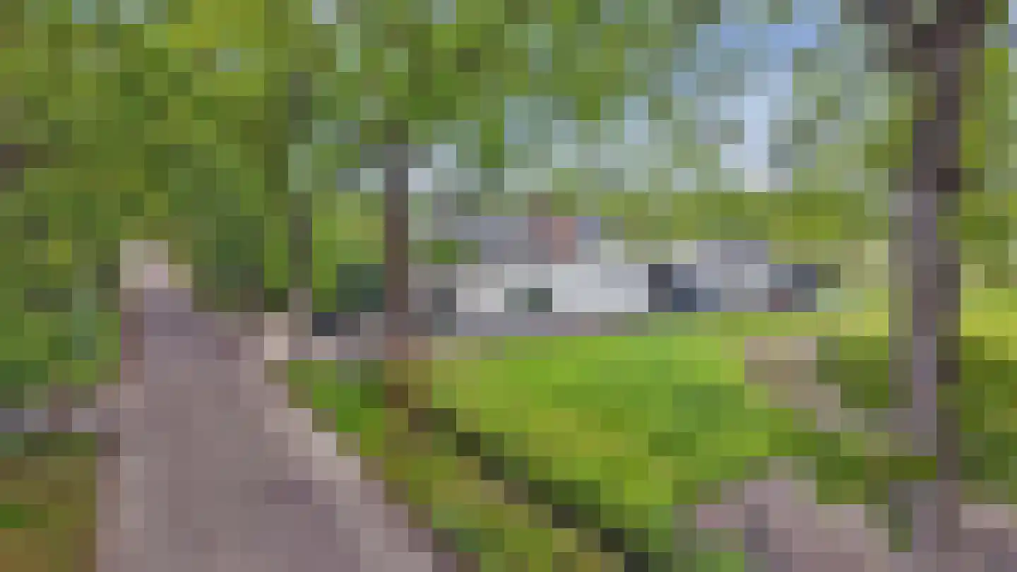Postbaan 83 Putte foto 3