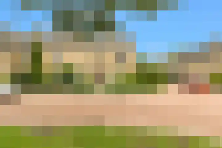 Carte postale pour 1356