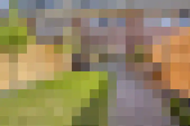 Postcodekaart voor 2872