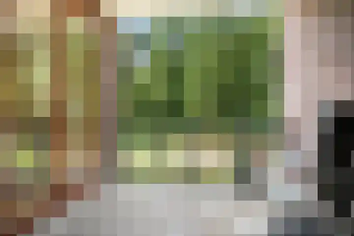 Postcodekaart voor 4163