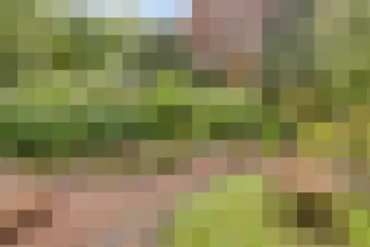 Postcodekaart voor 4194