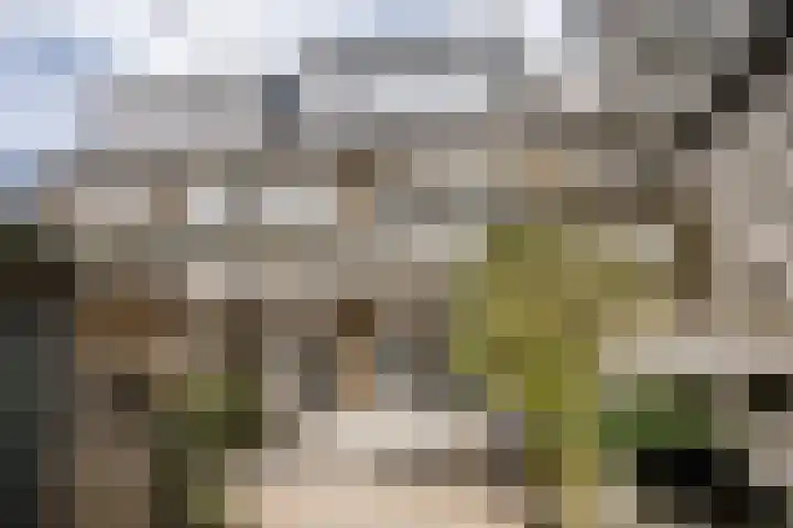 Postcodekaart voor 7443