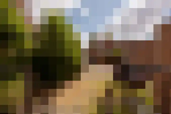 Postcodekaart voor 9724