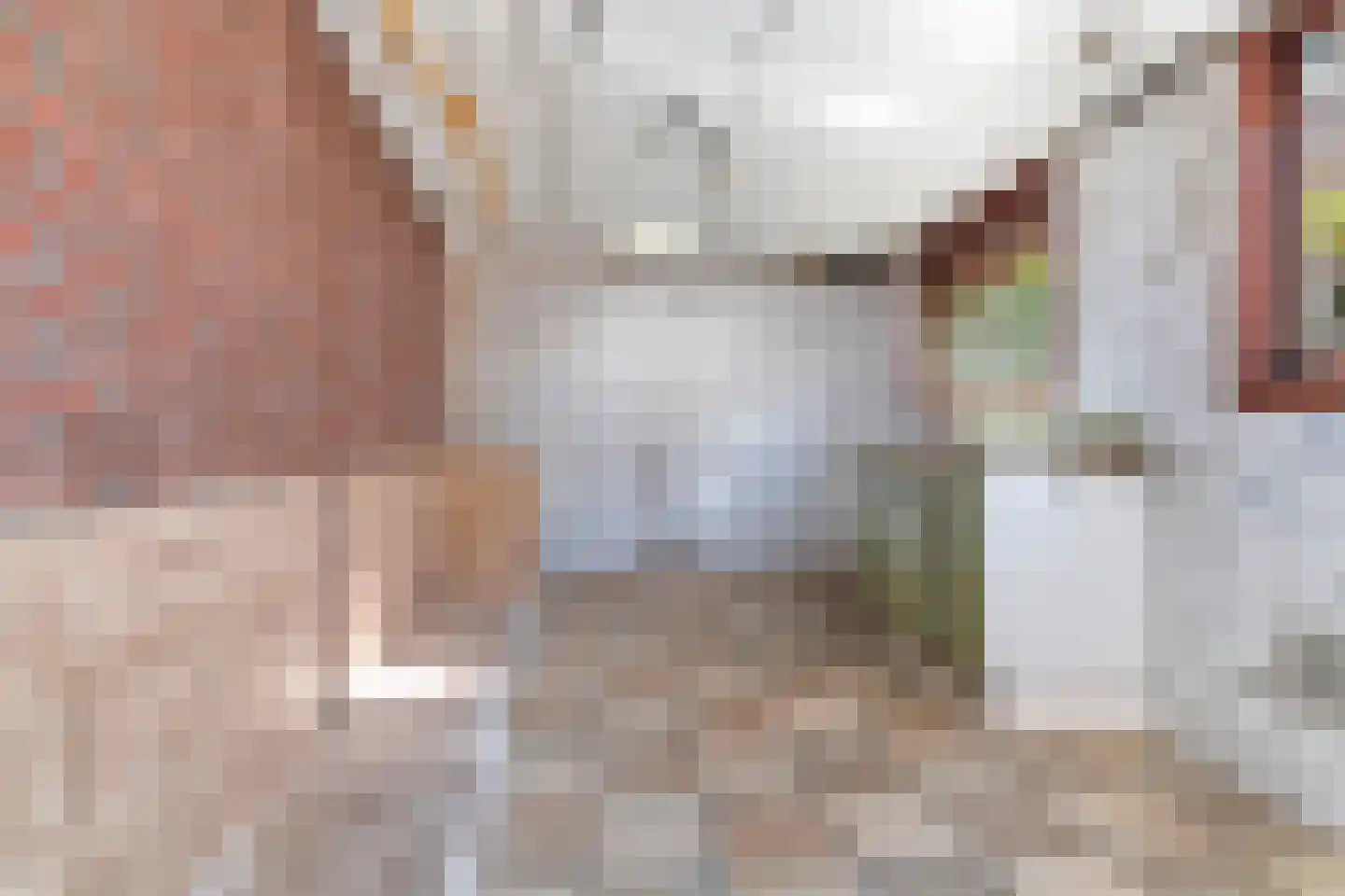Postdwarsweg 21 Nijmegen thumbnail 44