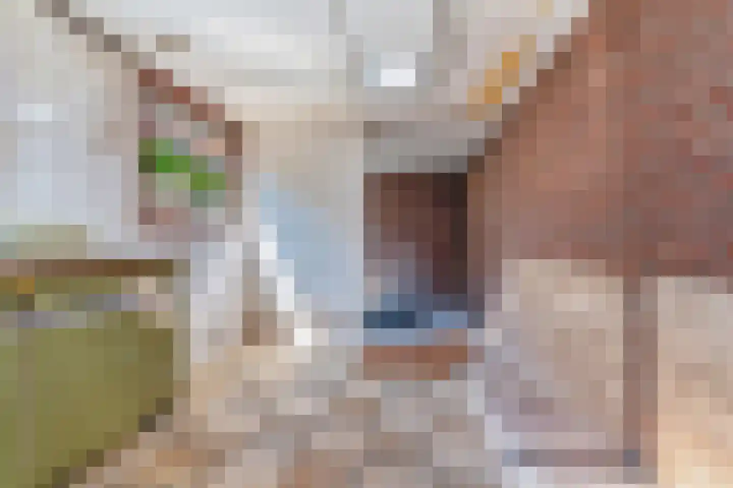 Postdwarsweg 21 Nijmegen thumbnail 45
