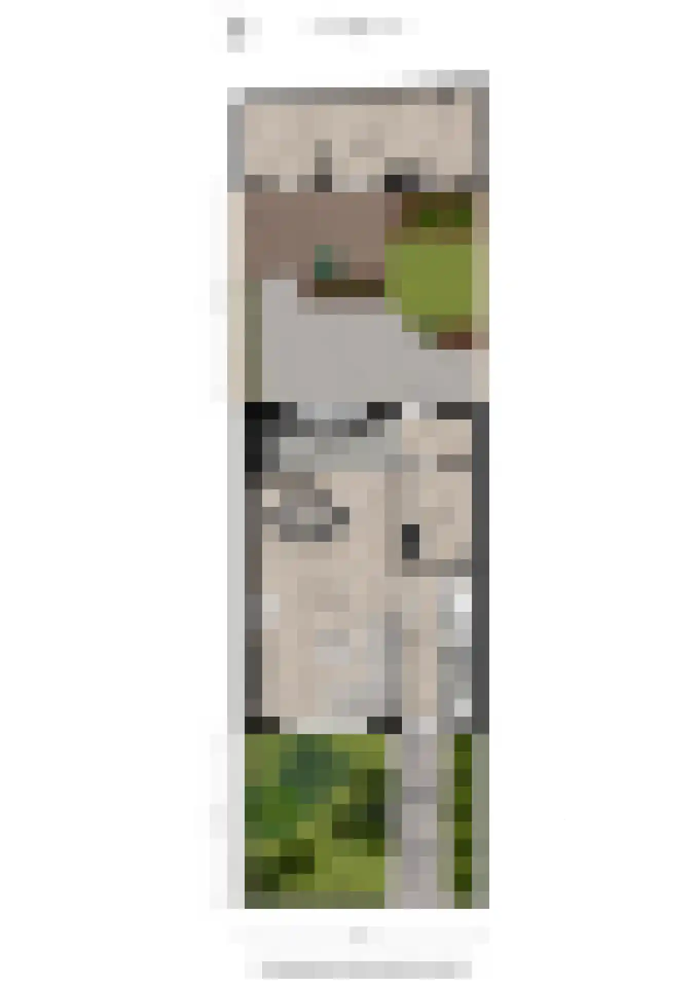 Postdwarsweg 21 Nijmegen thumbnail 57