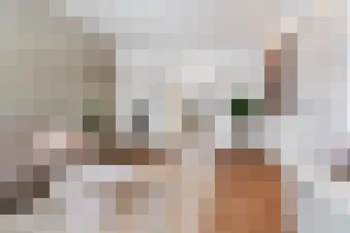 Postdwarsweg 9 Nijmegen thumbnail 14