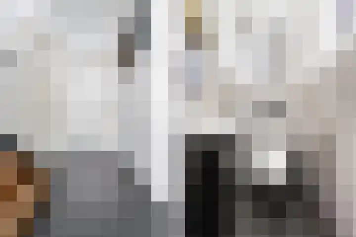 Postdwarsweg 9 Nijmegen thumbnail 22