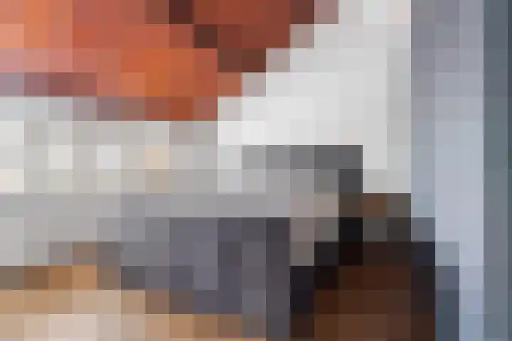 Postdwarsweg 9 Nijmegen thumbnail 29