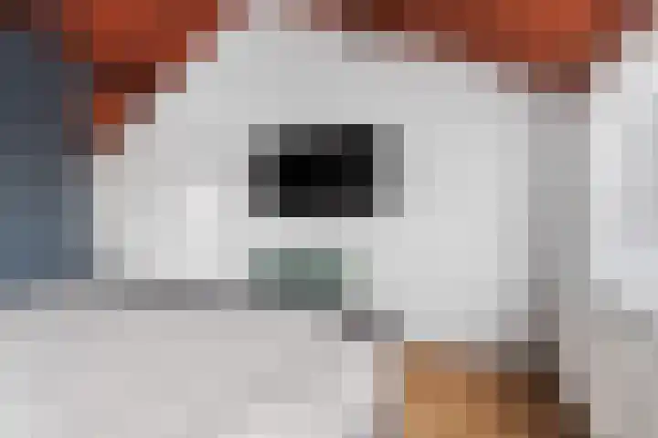 Postdwarsweg 9 Nijmegen thumbnail 30