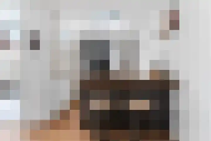 Postdwarsweg 9 Nijmegen thumbnail 4