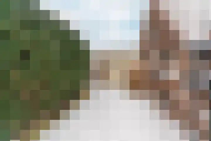 Postdwarsweg 9 Nijmegen thumbnail 43