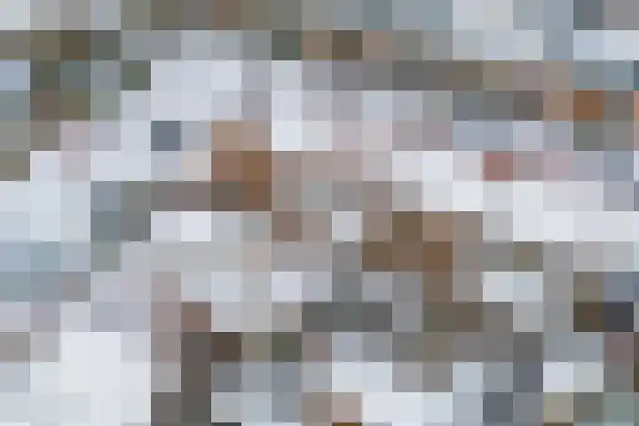 Postdwarsweg 9 Nijmegen thumbnail 46