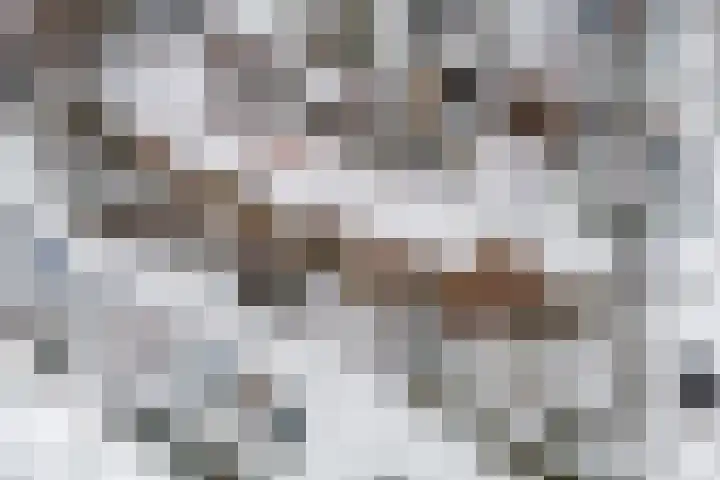 Postdwarsweg 9 Nijmegen thumbnail 47