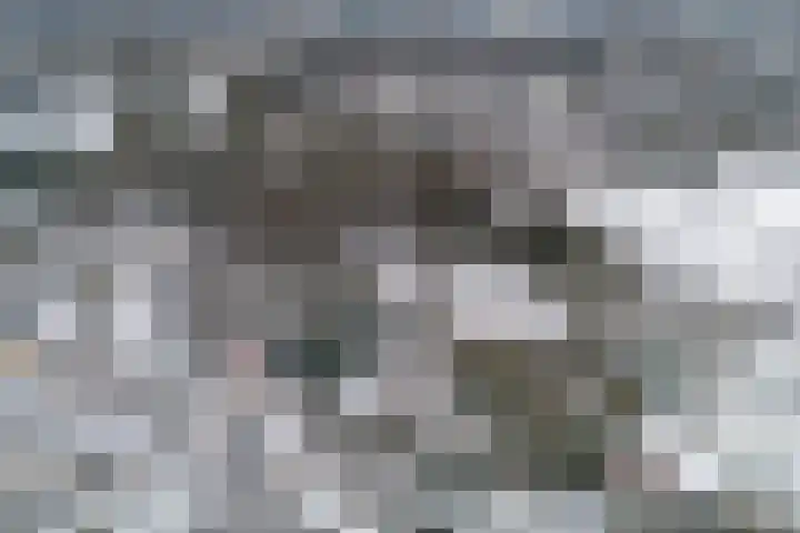 Postdwarsweg 9 Nijmegen thumbnail 50
