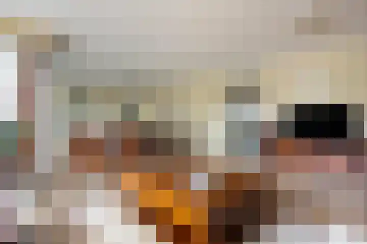 Postel 13 Someren thumbnail 10