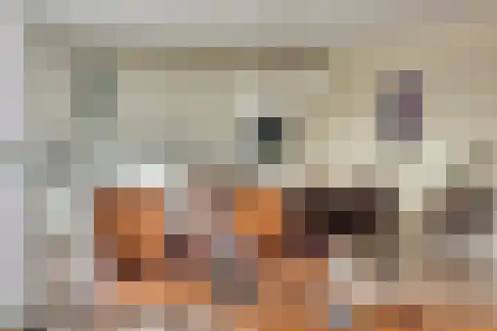 Postel 13 Someren thumbnail 11