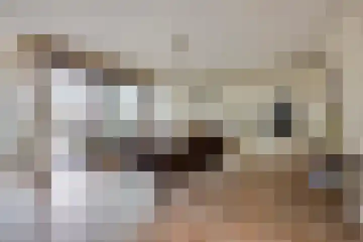 Postel 13 Someren thumbnail 12