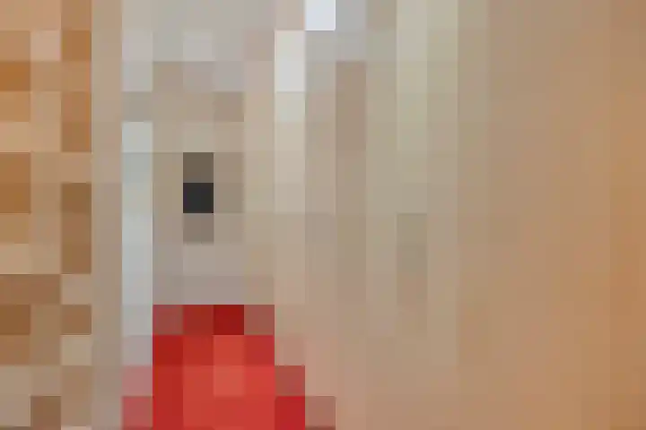 Postel 13 Someren thumbnail 18