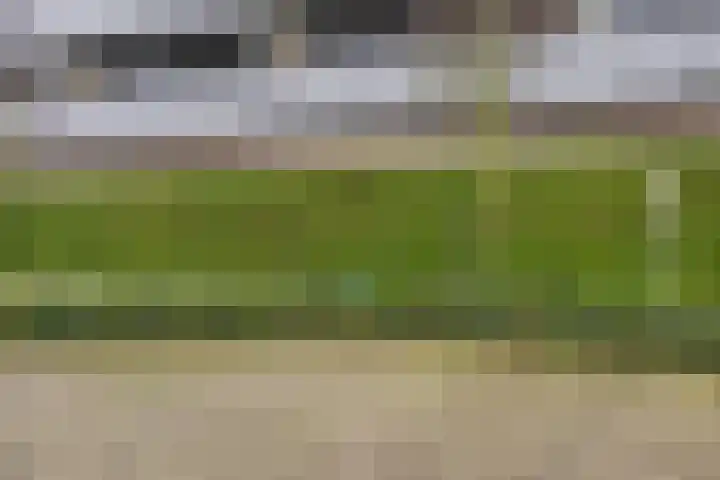 Postel 13 Someren thumbnail 29