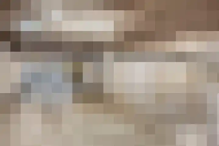 Postel 13 Someren thumbnail 31