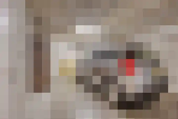 Postel 13 Someren thumbnail 34