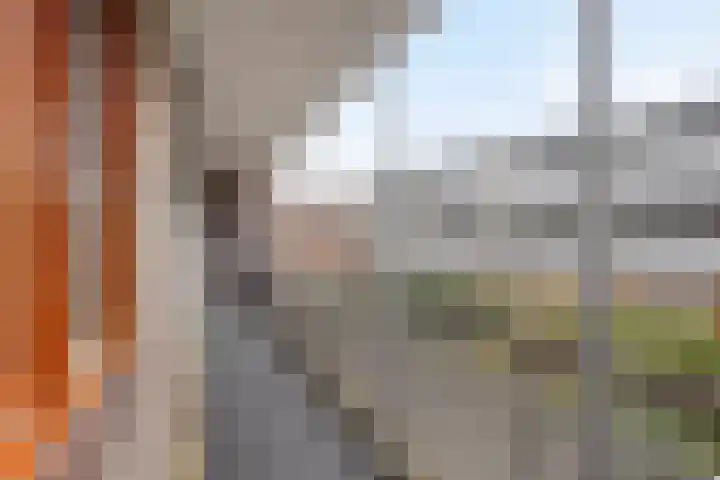 Postel 13 Someren thumbnail 4
