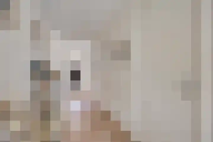 Postel 13 Someren thumbnail 6