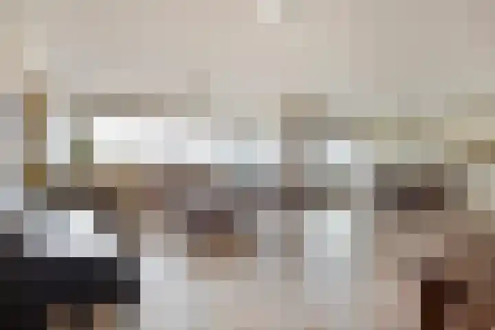 Postel 13 Someren thumbnail 8