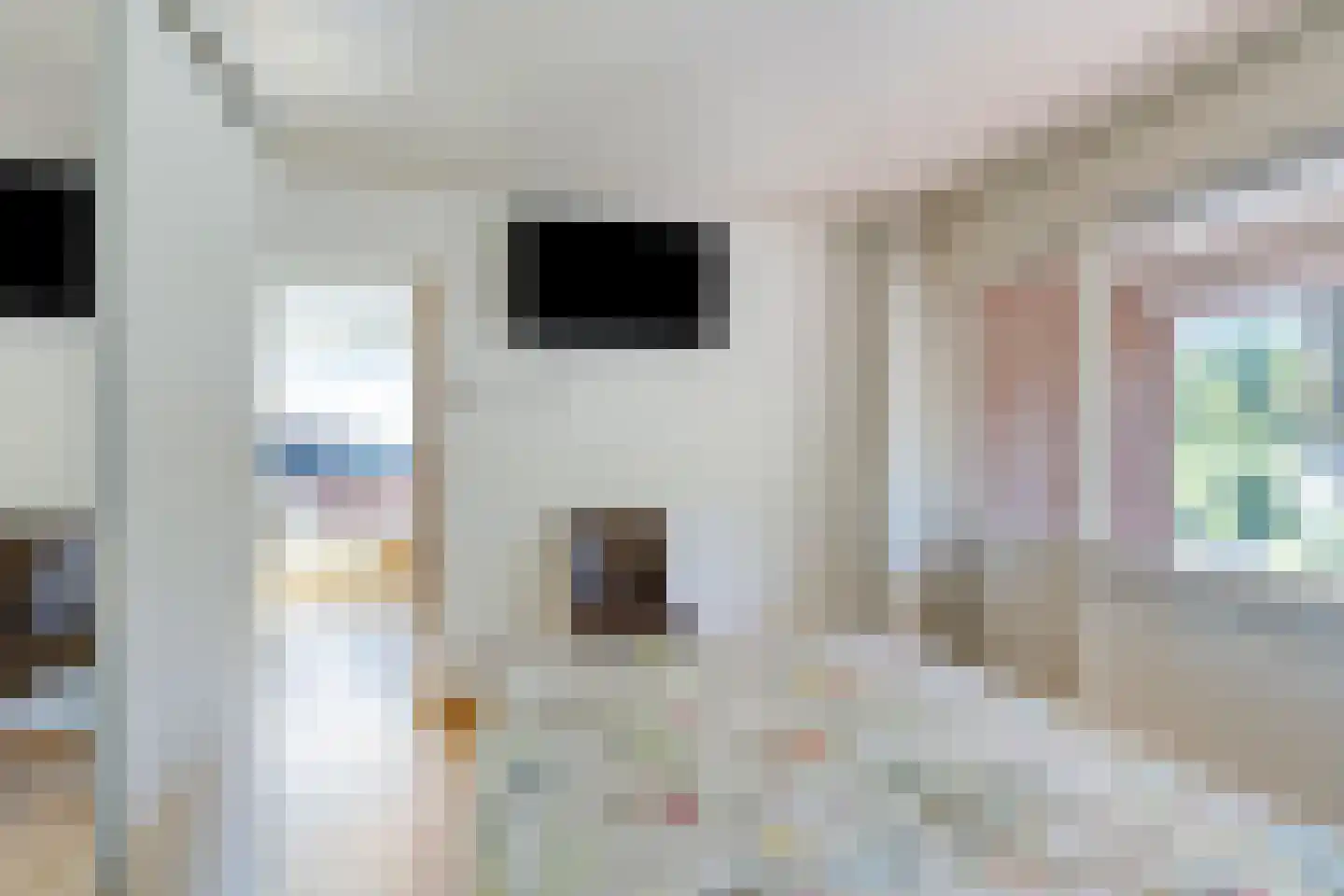 Postel 23 Someren thumbnail 29