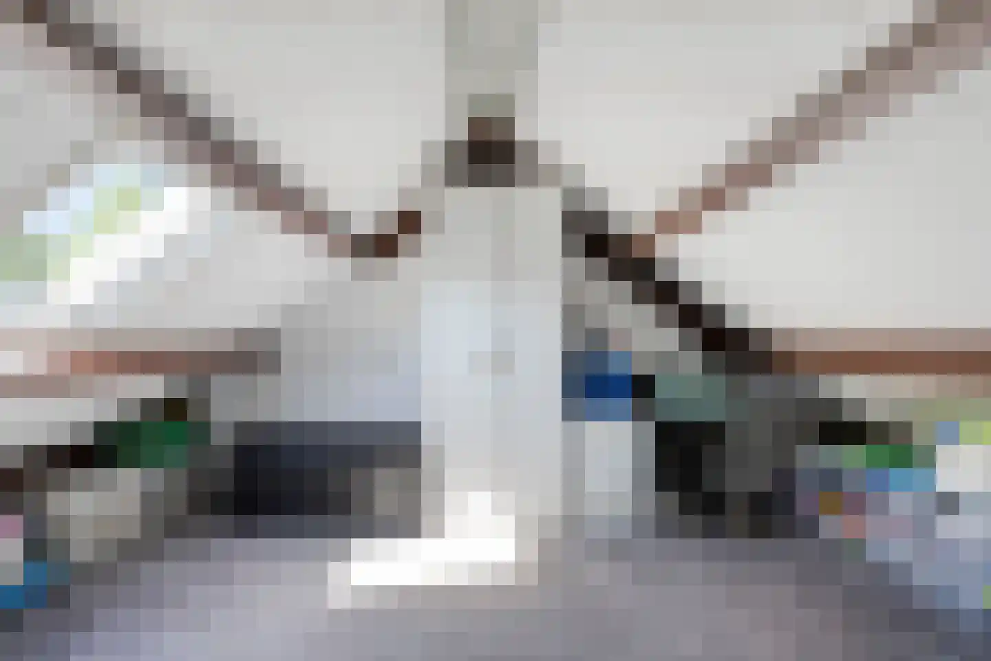 Postel 23 Someren thumbnail 38