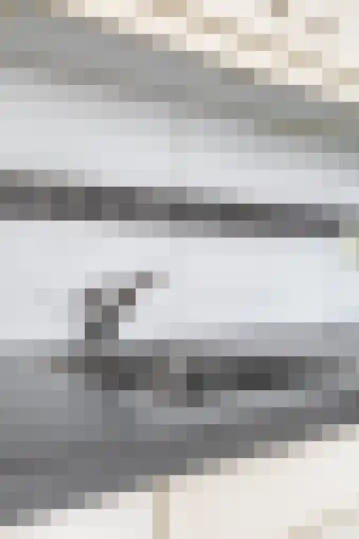 Postel 38 Someren thumbnail 27