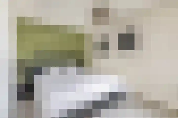 Postel 38 Someren foto 3