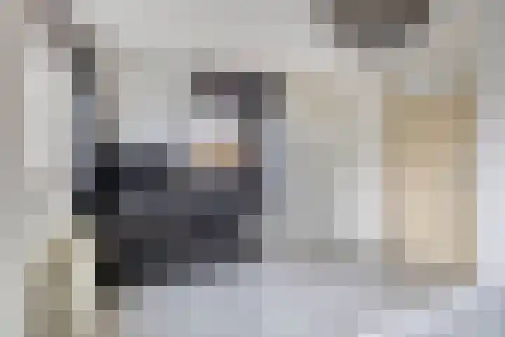 Postel 38 Someren thumbnail 32